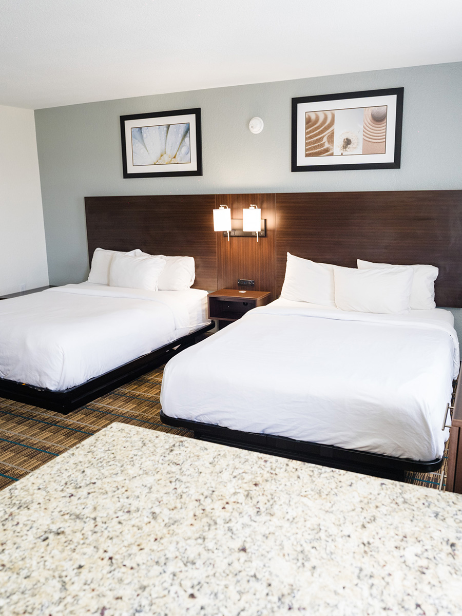 Cozy suite with full kitchen and comfortable living area at Mainstay Suites Knoxville